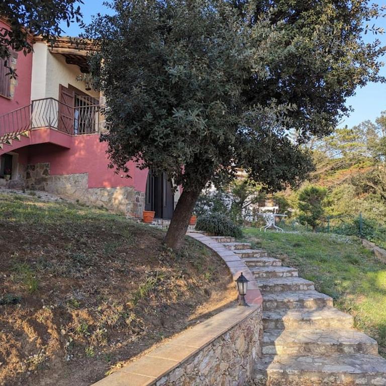 Begur Estudi en finca per a 4p Piscina Privada - One-Bedroom Apartment - 34