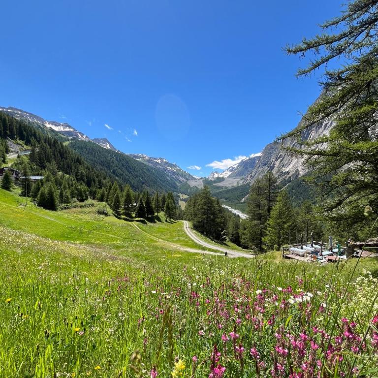 Chalet Chez Louis - Alpine Charm with Mont Blanc View & Ski Access - Chalet con 2 Camere da Letto - 14