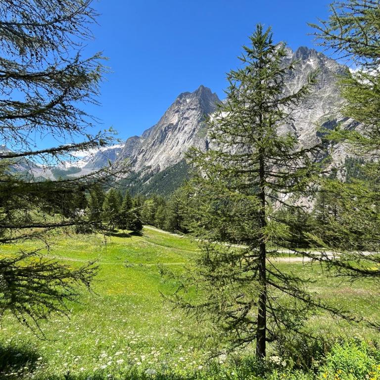 Chalet Chez Louis - Alpine Charm with Mont Blanc View & Ski Access - Chalet con 2 Camere da Letto - 20