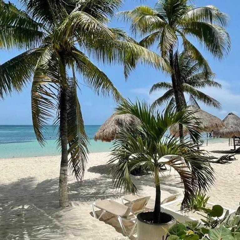 Caribbean apartment - Apartamento con vistas al jardín - 15