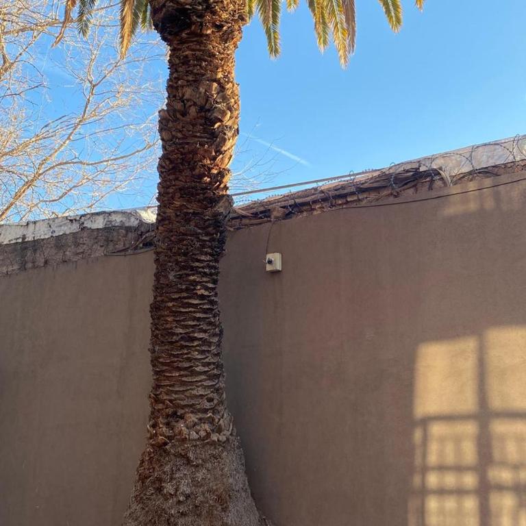 Mendoza, te aloja! - Apartamento de 2 dormitorios - 19