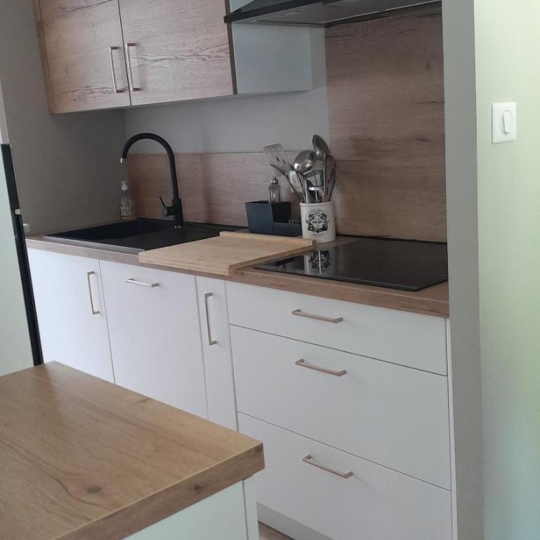 Appartement osca des brimbelles - Appartement 1 Chambre - 9