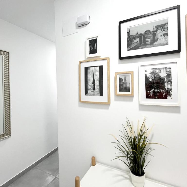 Mezquita Apartamento - Apartamento de 2 dormitorios - 13