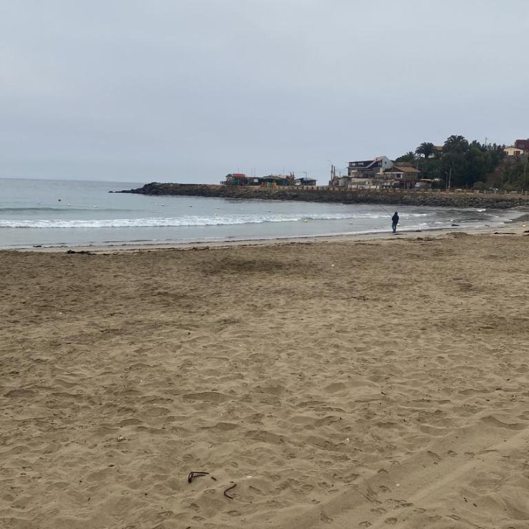 Departamento frente a la playa en Los Molles - Three-Bedroom Standard Apartment - 7