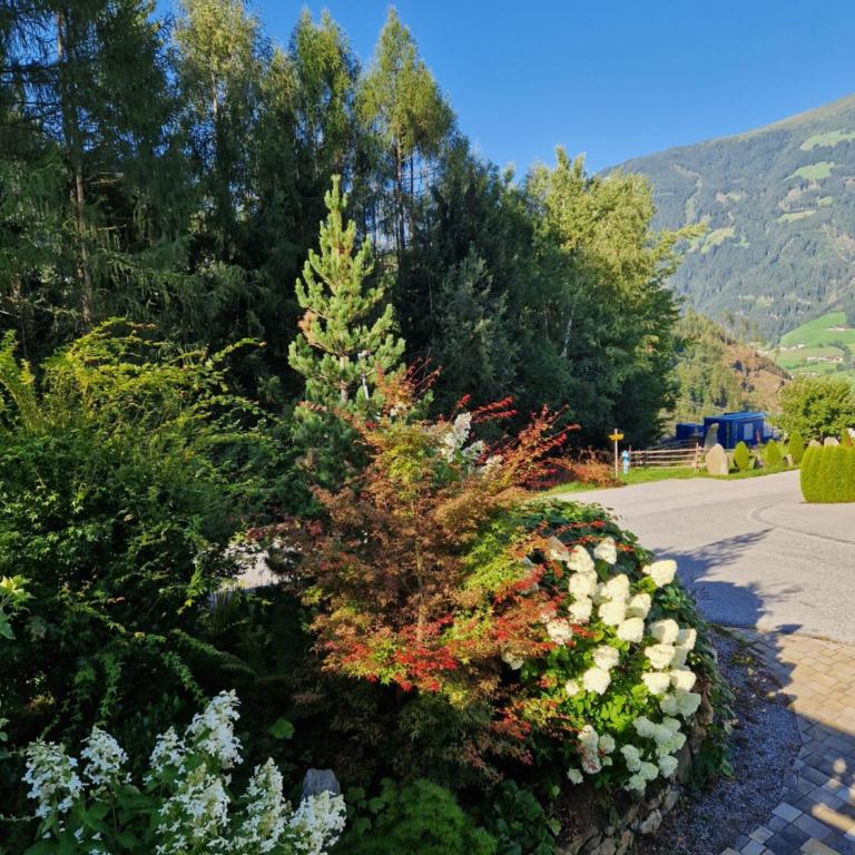 Haus Roland - Apartment with Garden - 9