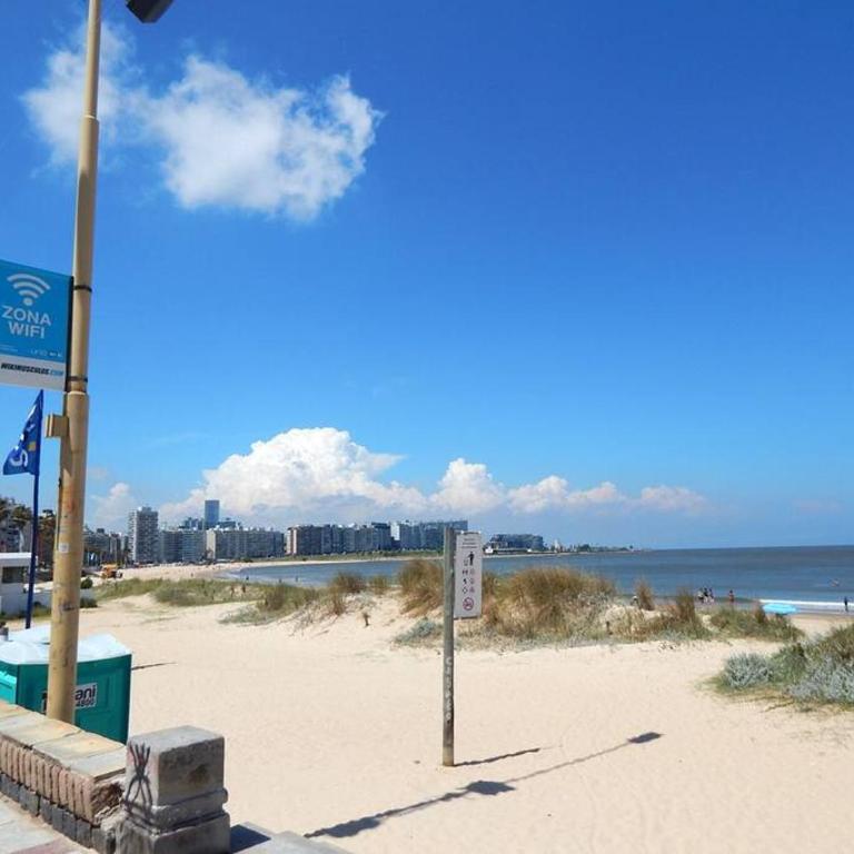 Confortable y Luminoso Apto Frente a Playa Pocitos - Apartamento de 2 dormitorios - 33