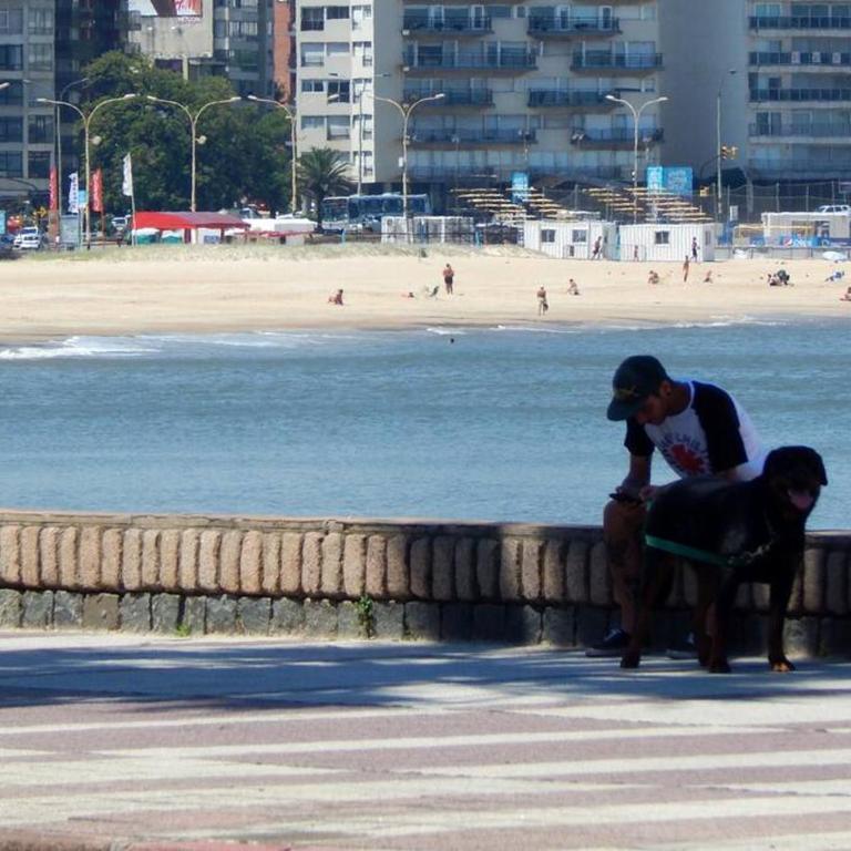 Confortable y Luminoso Apto Frente a Playa Pocitos - Apartamento de 2 dormitorios - 32