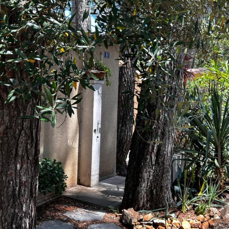 Cabanon à Sanary sur mer au coeur de Portissol. - Maison 1 Chambre - 1