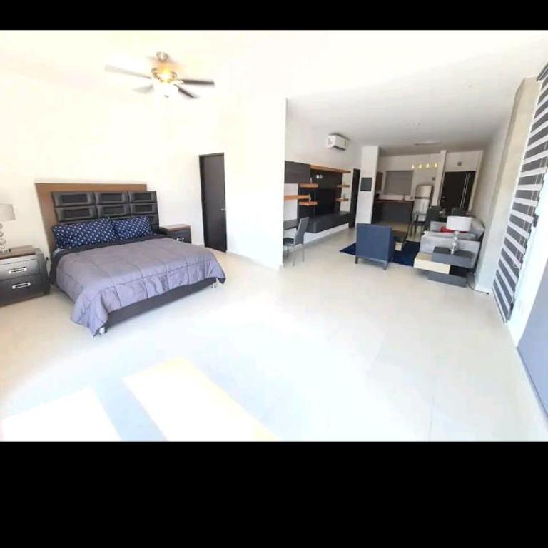 Depto en Barrio Antiguo, Santa Lucia y Fundidora - One-Bedroom Apartment - 7