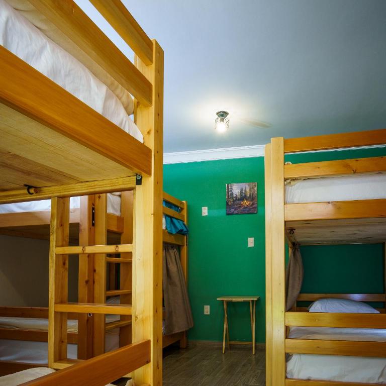 Tierra Alta Hostal - Bunk Bed in Female Dormitory Room - 4