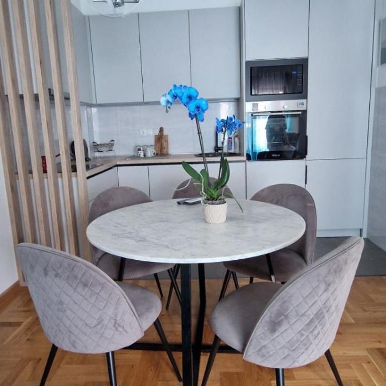 Plava orhideja apartman - Apartman sa 1 Spavaćom Sobom - 4