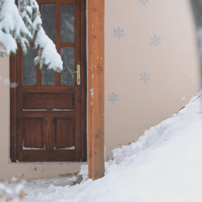 Cabin & Apartment Kopaonik - Studio with Mountain View - 36