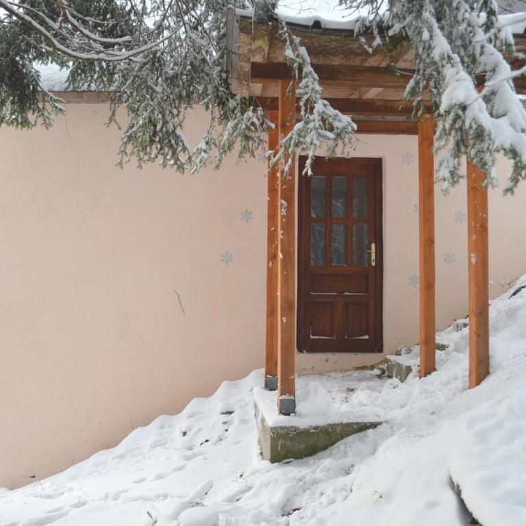 Cabin & Apartment Kopaonik - Studio with Mountain View - 35