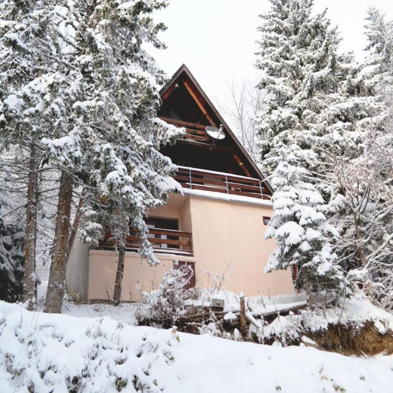 Cabin & Apartment Kopaonik - Studio with Mountain View - 1