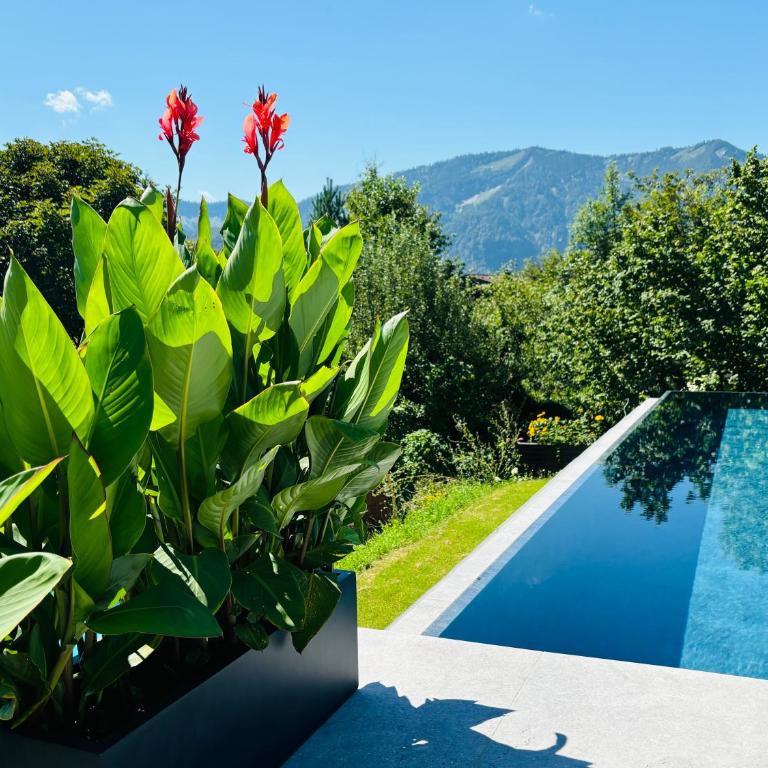 place2be - with infinity pool - Apartment mit 1 Schlafzimmer - 88