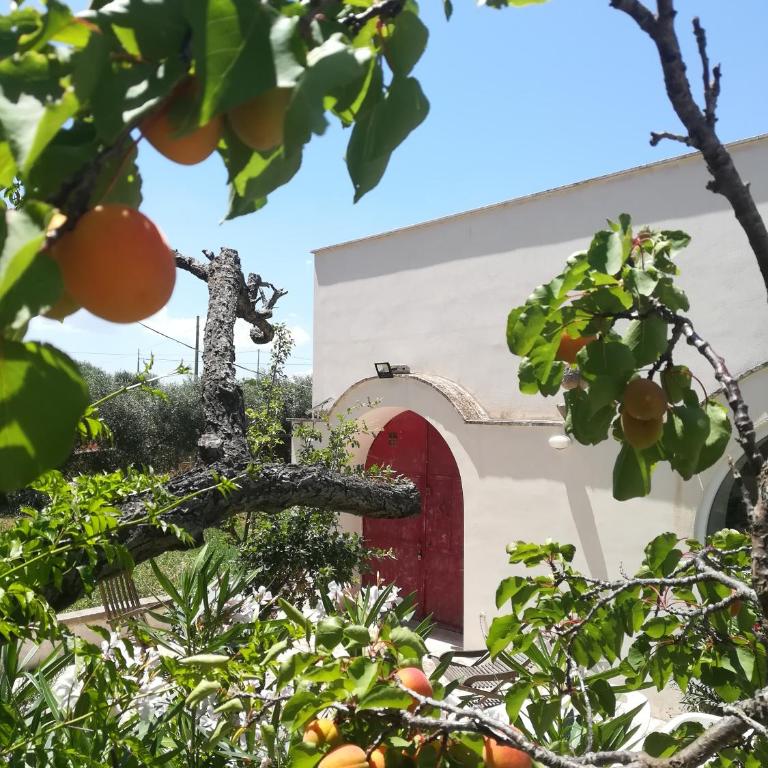 I trulli di Maselluzzo - Casa Vacanze con 3 Camere da Letto - 28