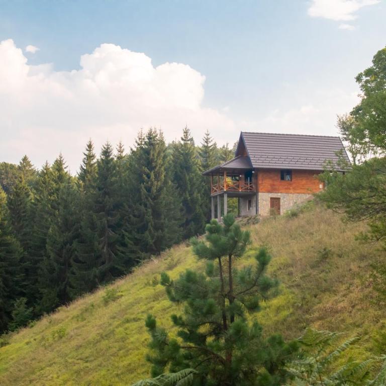 Brvnara Tarski pogled - Kuća sa 2 Spavaće Sobe - 11