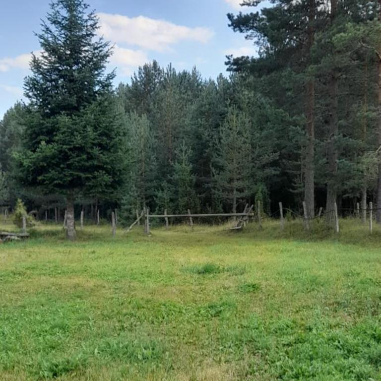 Holiday Home Krejović - Three-Bedroom House - 10