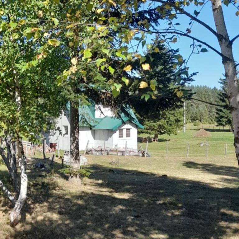 Holiday Home Krejović - Three-Bedroom House - 9