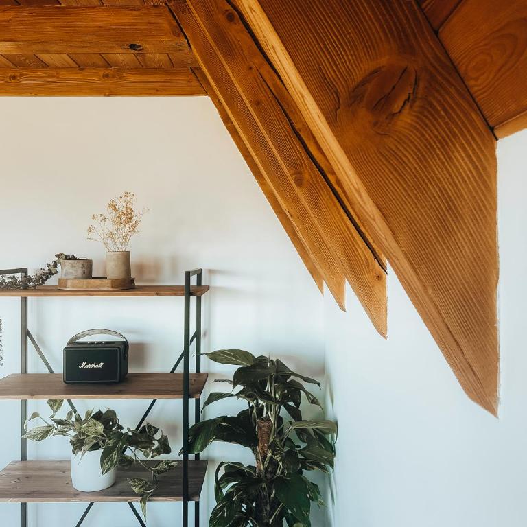 Black Stone Durmitor - Vacation Home - 12
