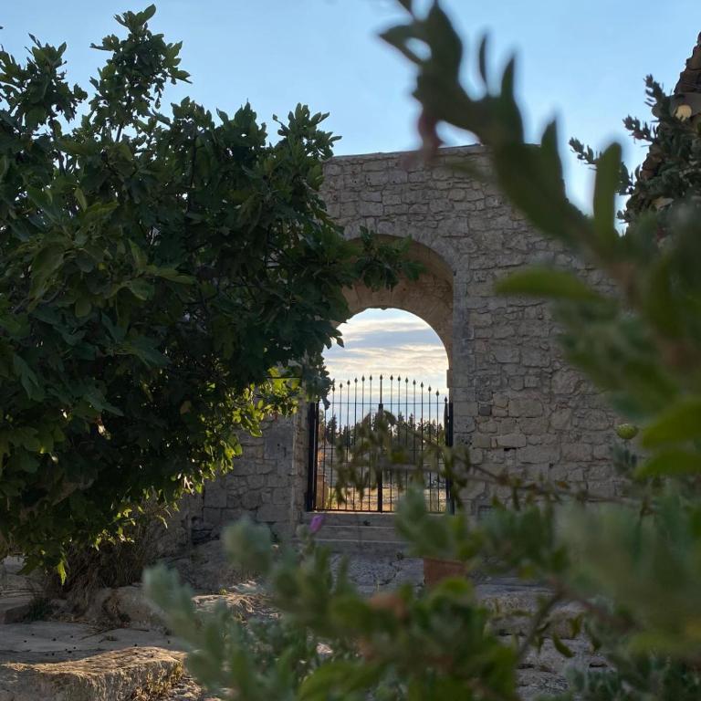 Il Carosello dei Baroni - Villa - 22