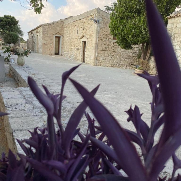 Il Carosello dei Baroni - Villa - 7