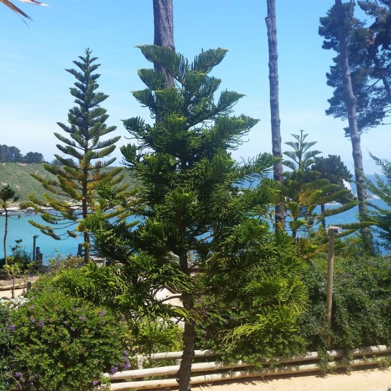 Algarrobo Apartment - Apartamento de 2 dormitorios - 6