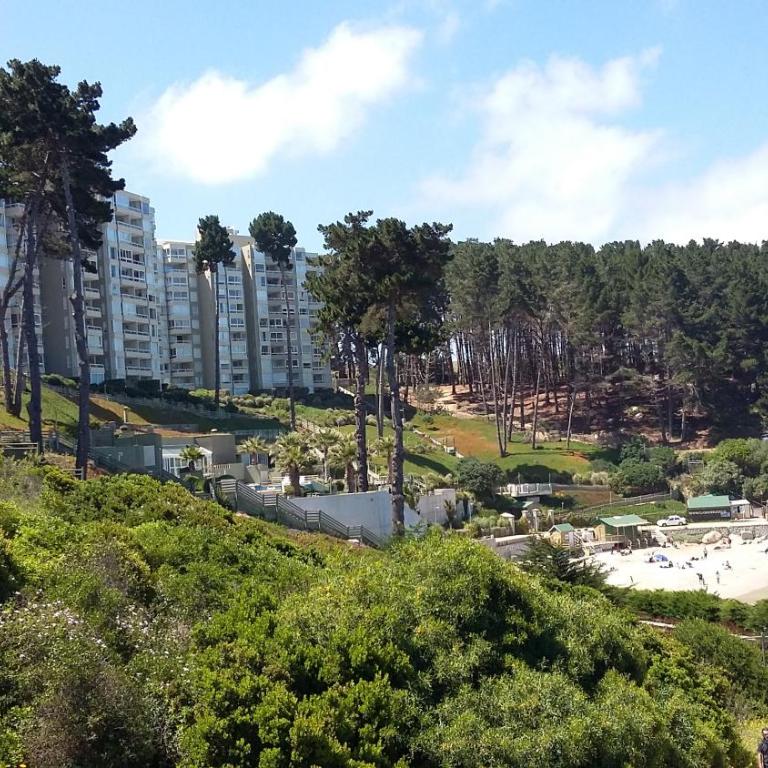 Algarrobo Apartment - Apartamento de 2 dormitorios - 2
