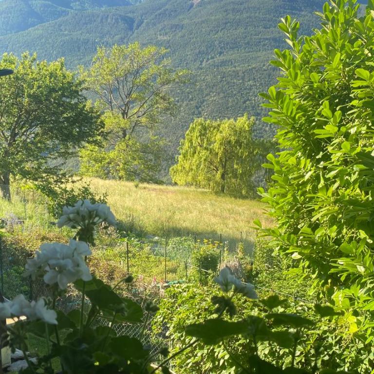 Appartamenti Maison Guyon - Appartamento con 1 Camera da Letto - 5