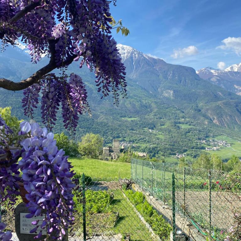 Appartamenti Maison Guyon - Appartamento con 1 Camera da Letto - 10