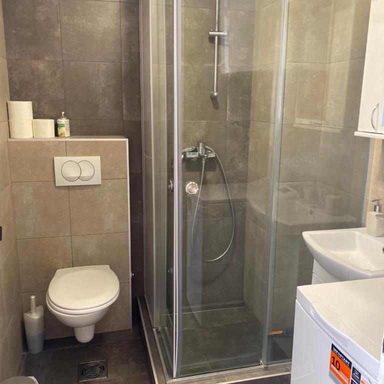 Apartman Pupin - Apartman sa 1 Spavaćom Sobom - 12