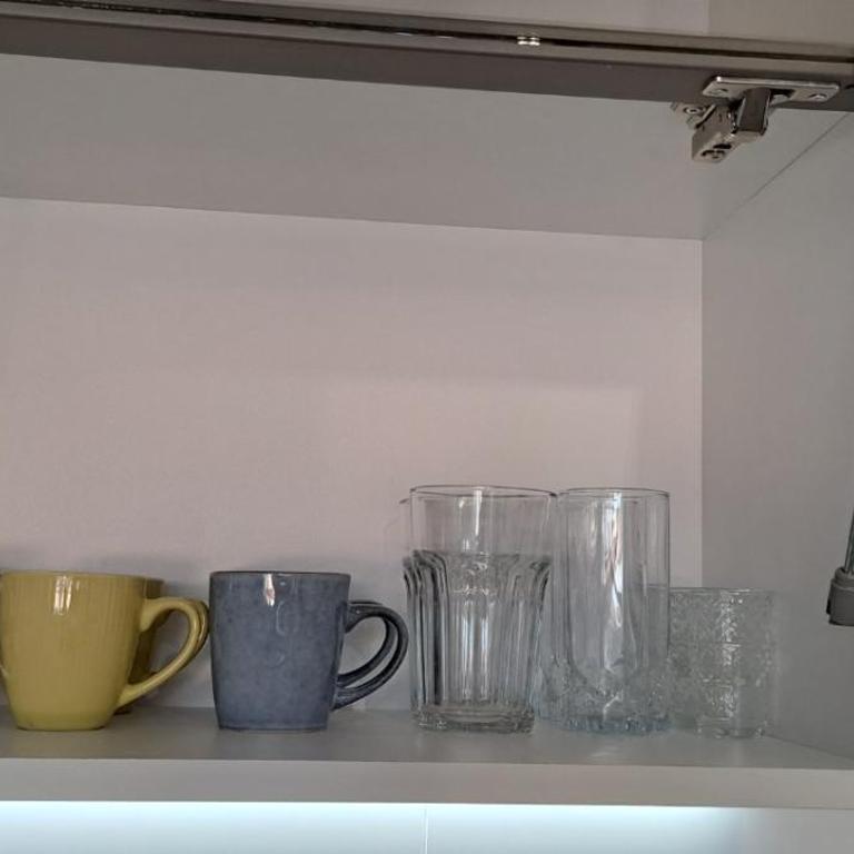 Apartman Green terrace - Apartman sa 1 Spavaćom Sobom - 19