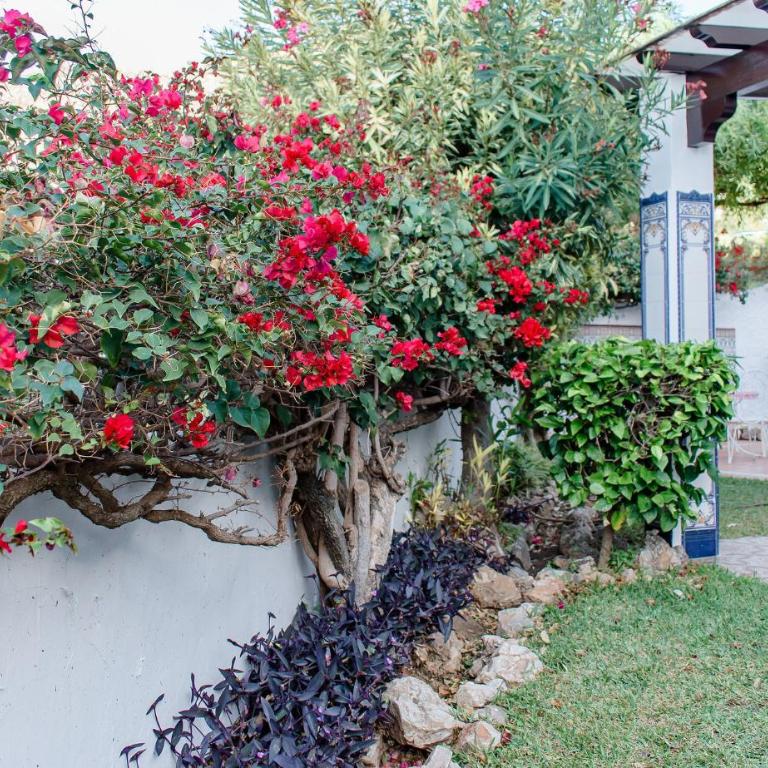 Capistrano Home with Access to Nerjas Top Pool Area - Casa de 2 dormitorios - 21