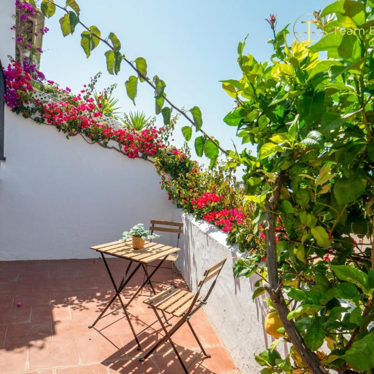 Charming area of San Juan de Capistrano - Apartamento de 2 dormitorios con balcón y terraza - 14