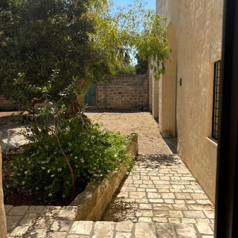 Masseria Mondonuovo - Camera Doppia con Letti Singoli - 4
