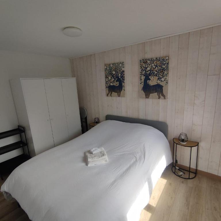 ThiLuCha Le ThiLu ALPE D'HUEZ gd domaine à Allemont - Appartement 1 Chambre - 7