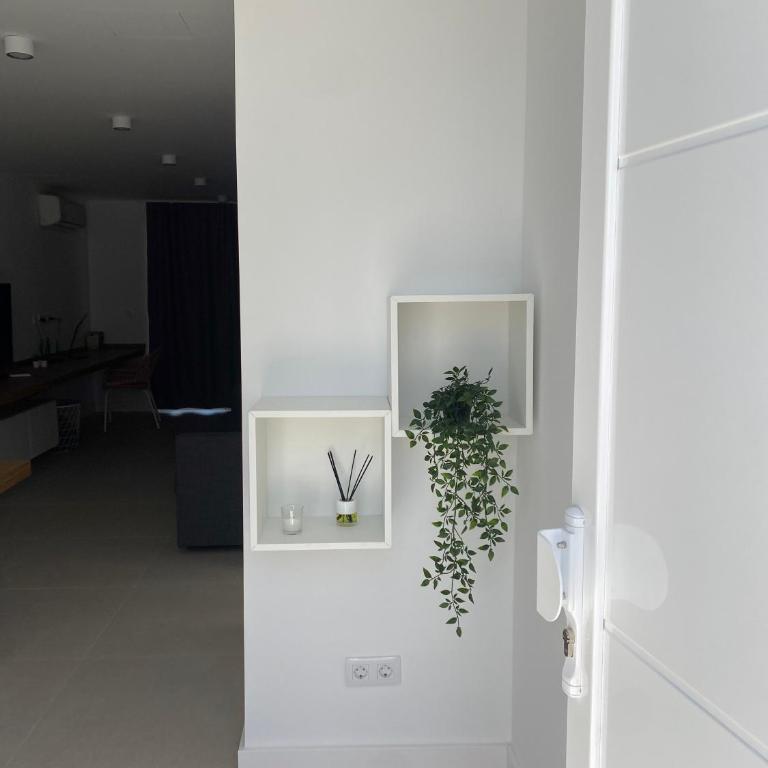 Descanso junto a las dunas - Apartamento de 1 dormitorio - 4