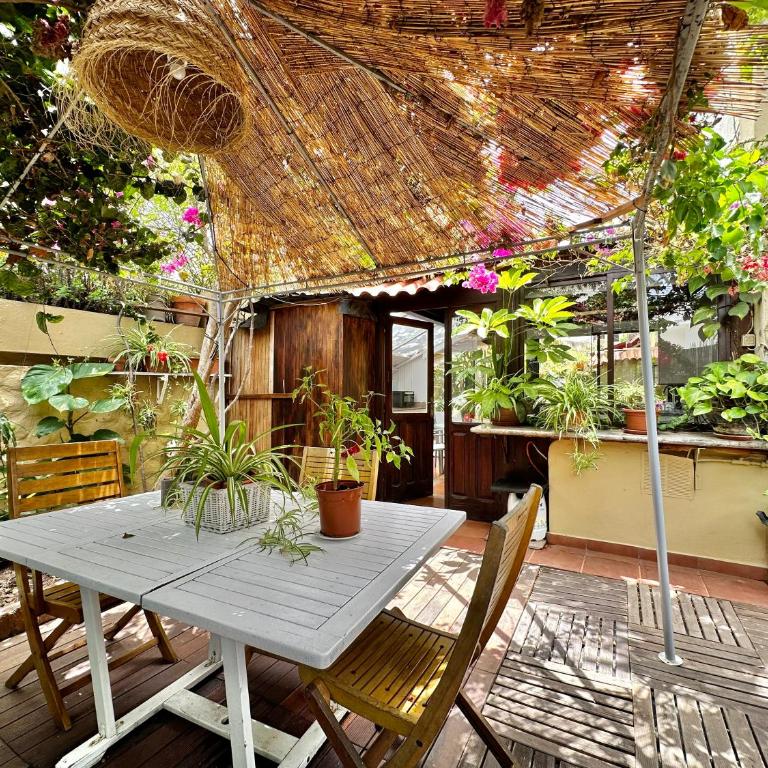 Oasis Garden - Estudio con terraza - 27