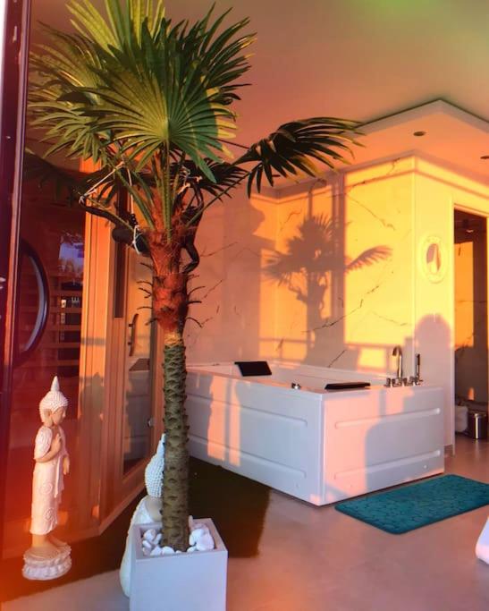 Sea Side Calais vue mer - Appartement 1 Chambre - 26