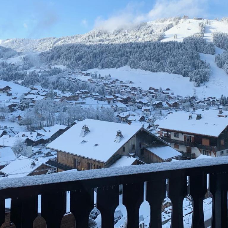 Eterlou 11 Apartment - Snow and Trek - Morzine - Apartment with Mountain View - 18