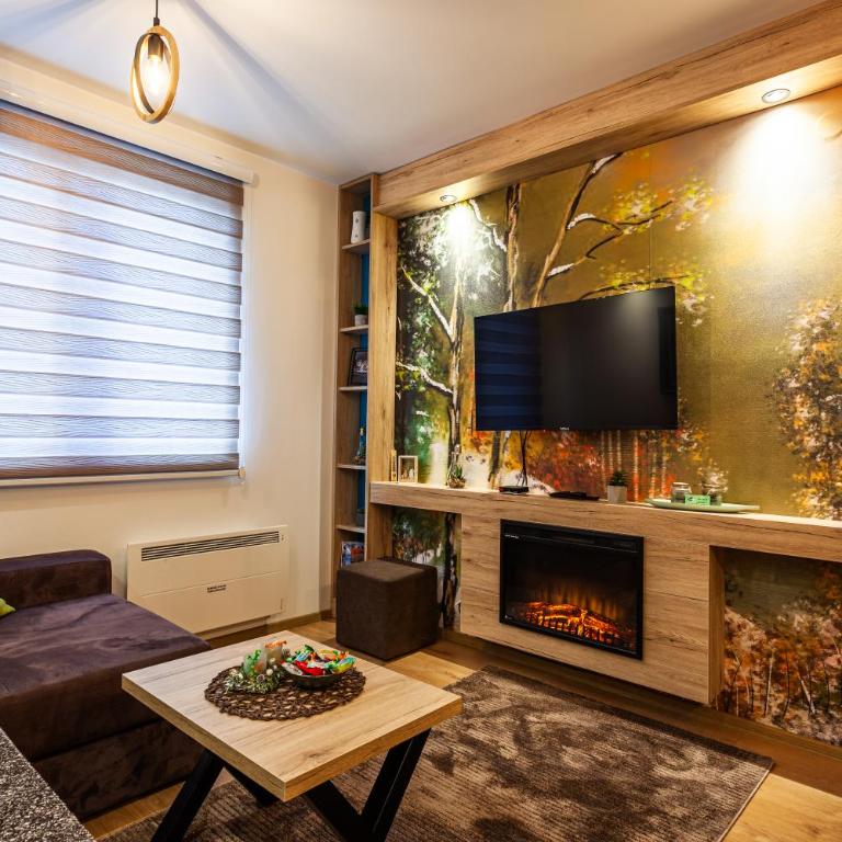 Vila Jahor Apartmani Dis 7 i 8 - Apartman sa Pogledom na Planinu - 6