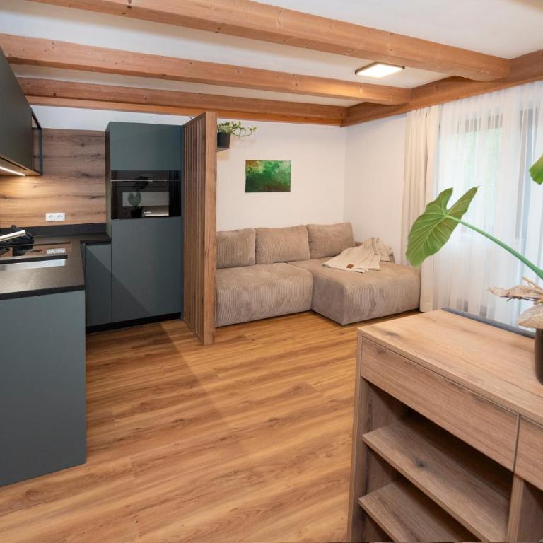 Naturapartments Alpbach - Alpin Bio Deluxe - Deluxe Apartment - 3