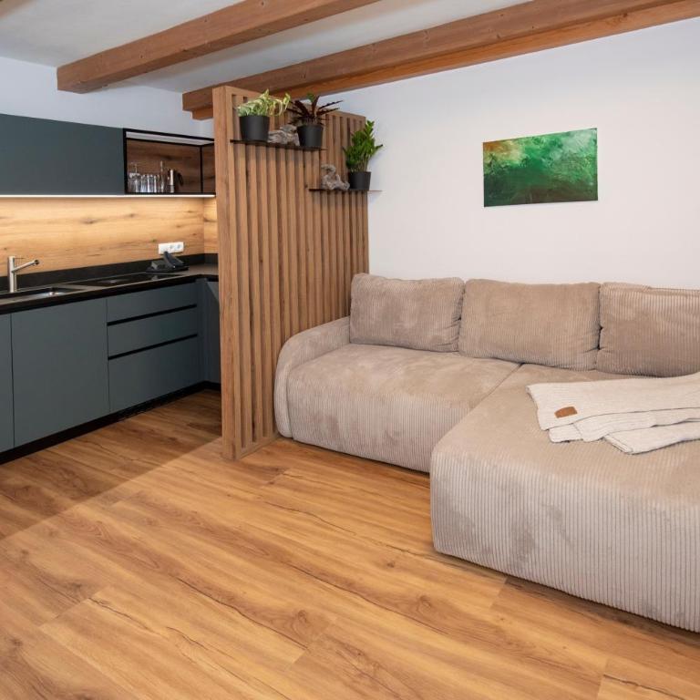 Naturapartments Alpbach - Alpin Bio Deluxe - Deluxe Apartment - 16