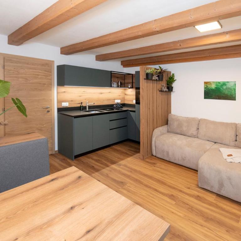 Naturapartments Alpbach - Alpin Bio Deluxe - Deluxe Apartment - 25