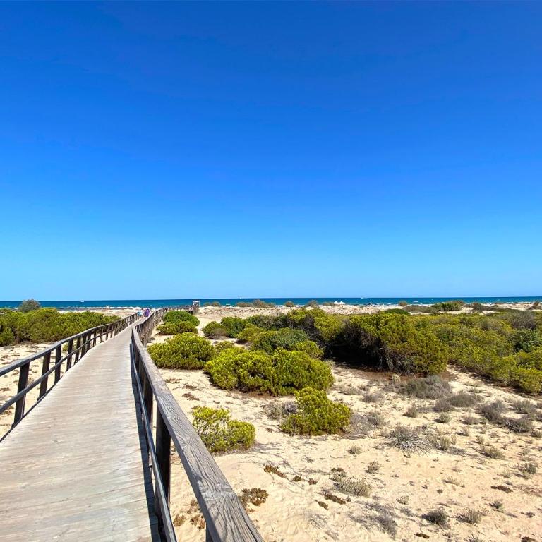 Apartamento ARENALES PLAYA - One-Bedroom Apartment - 34