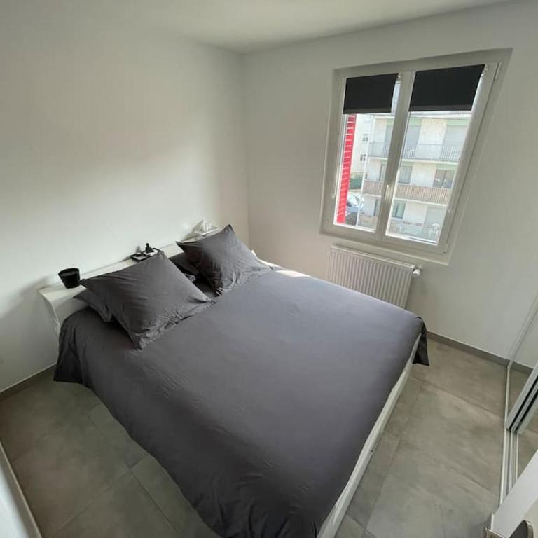 Appartement T3 en centre-ville de Thonon-Les-Bains - Appartement 2 Chambres - 7
