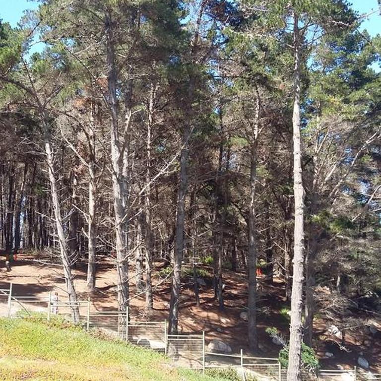 Algarrobo Apartment - Apartamento de 2 dormitorios - 9