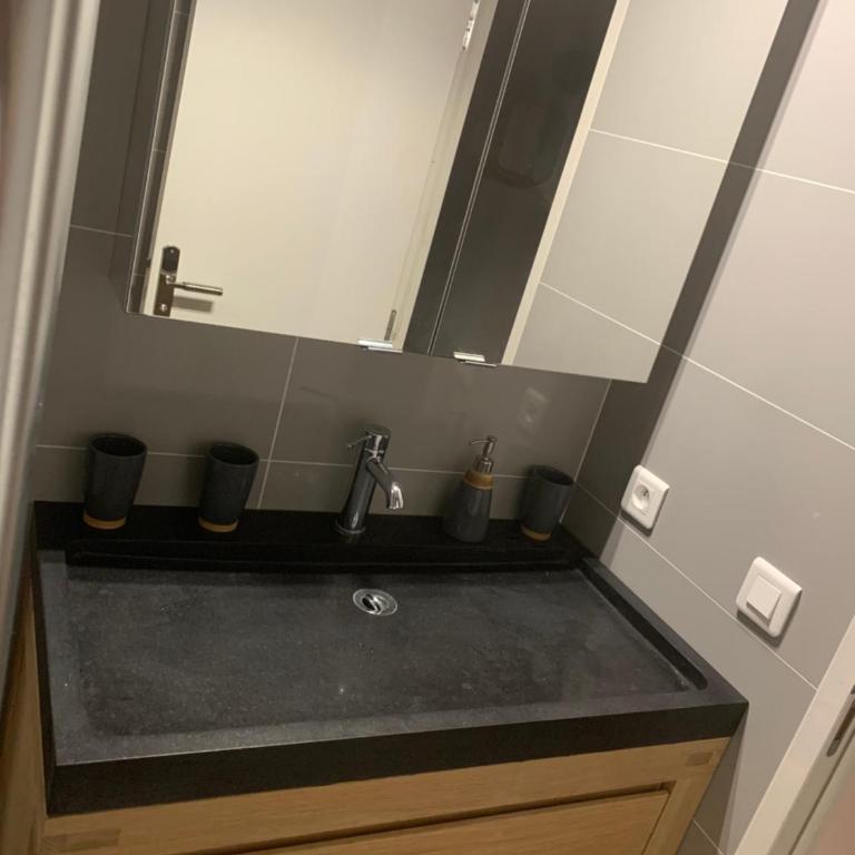Chante Brise 2 Pieces - Apartment mit 1 Schlafzimmer - 3
