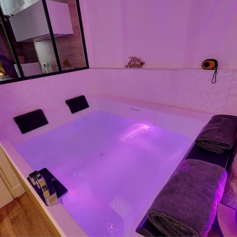 Le Duché - Séjour romantique avec balnéo privative - Dijon centre - One-Bedroom Apartment - 8