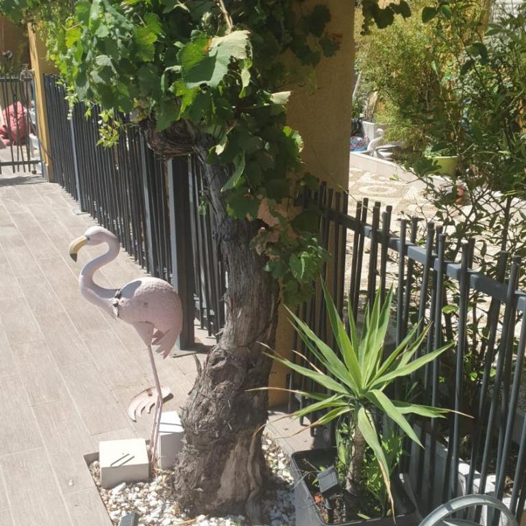 La maison Provençale avec Piscine - Maison 4 Chambres - 10